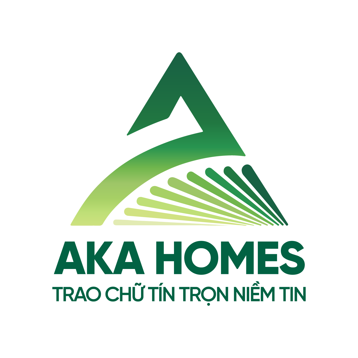 Aka Homes
